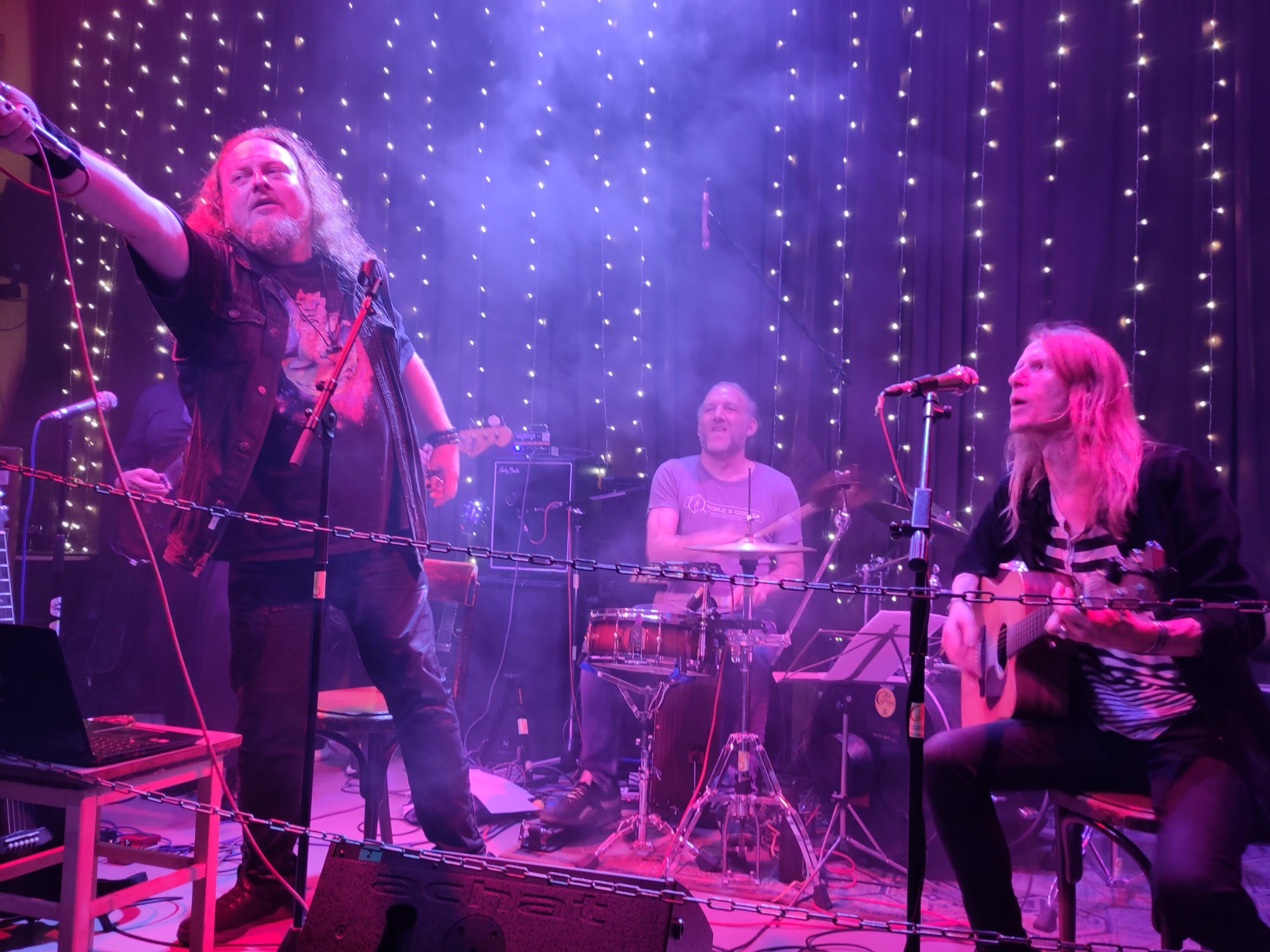 DeLoreans performing live